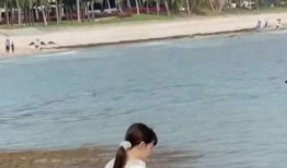 圈内爆料李小璐和王一博,娱乐圈再掀波澜